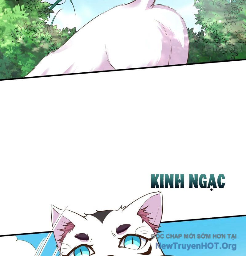 Ta Thật Không Phải Cái Thế Cao Nhân Chapter 53 - Trang 2