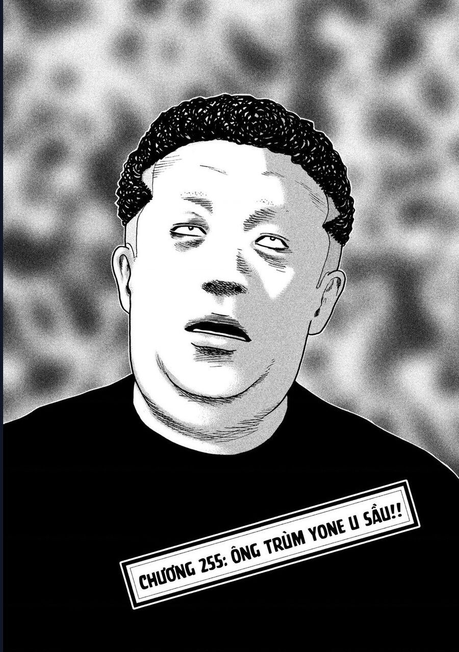 Naniwa Tomoare Chapter 255 - Trang 2