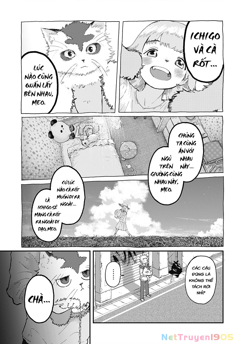 Ngôi Sao Tương Giao Chapter 8 - Trang 2