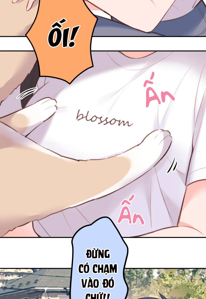 Cô Bạn Gái Hai Mặt Chapter 67 - Trang 2