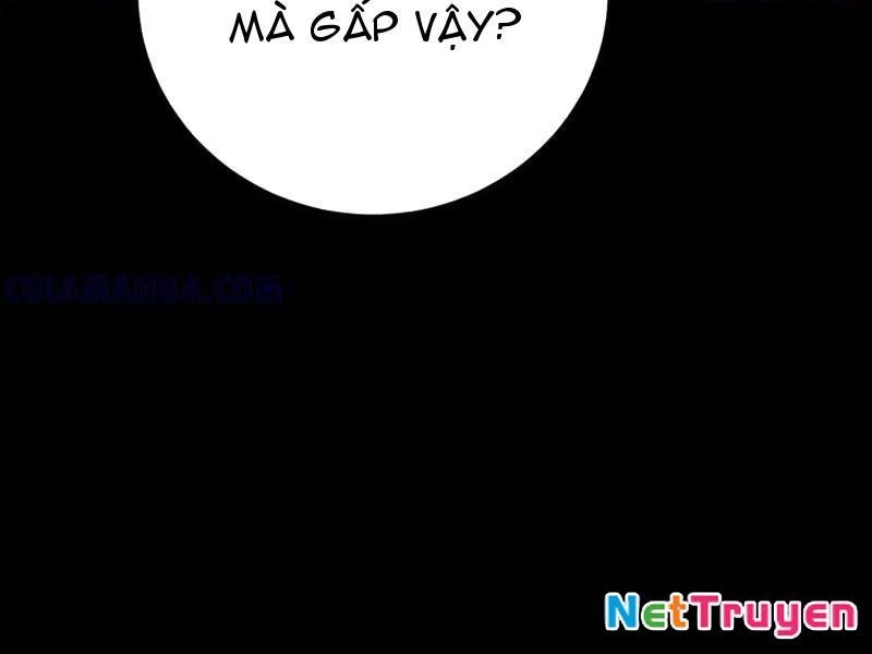 Ta Trở Thành Thần Sau Khi Afk Hàng Triệu Năm Chapter 43 - Trang 2