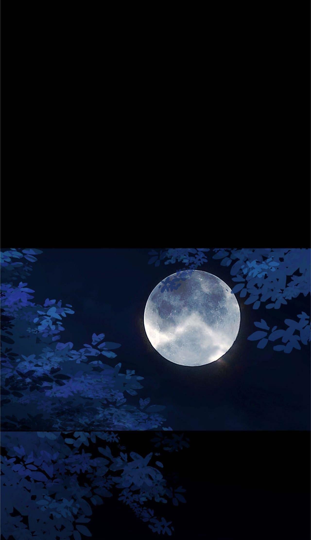 Bản Toạ Nuôi Quỷ Hút Máu Ở Tông Môn Chapter 25 - Trang 2