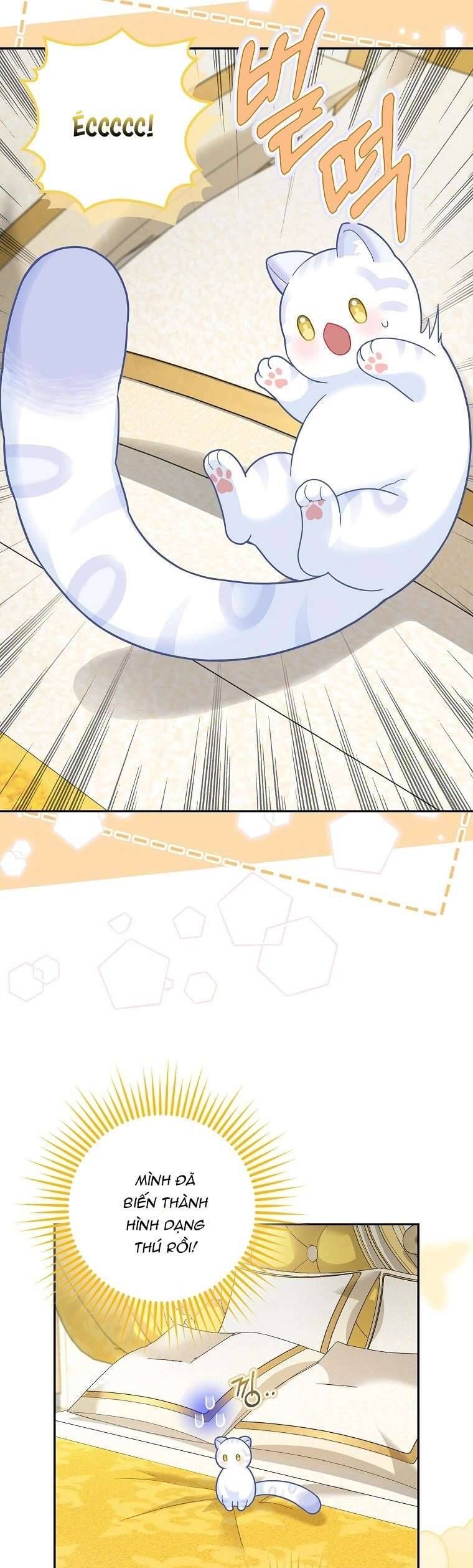 Bé Con Báo Tuyết Của Gia Tộc Báo Đen Chapter 21 - Trang 2