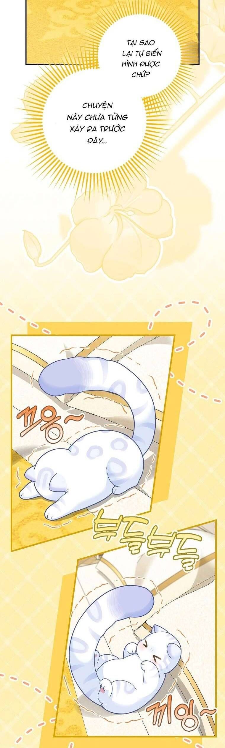 Bé Con Báo Tuyết Của Gia Tộc Báo Đen Chapter 21 - Trang 2