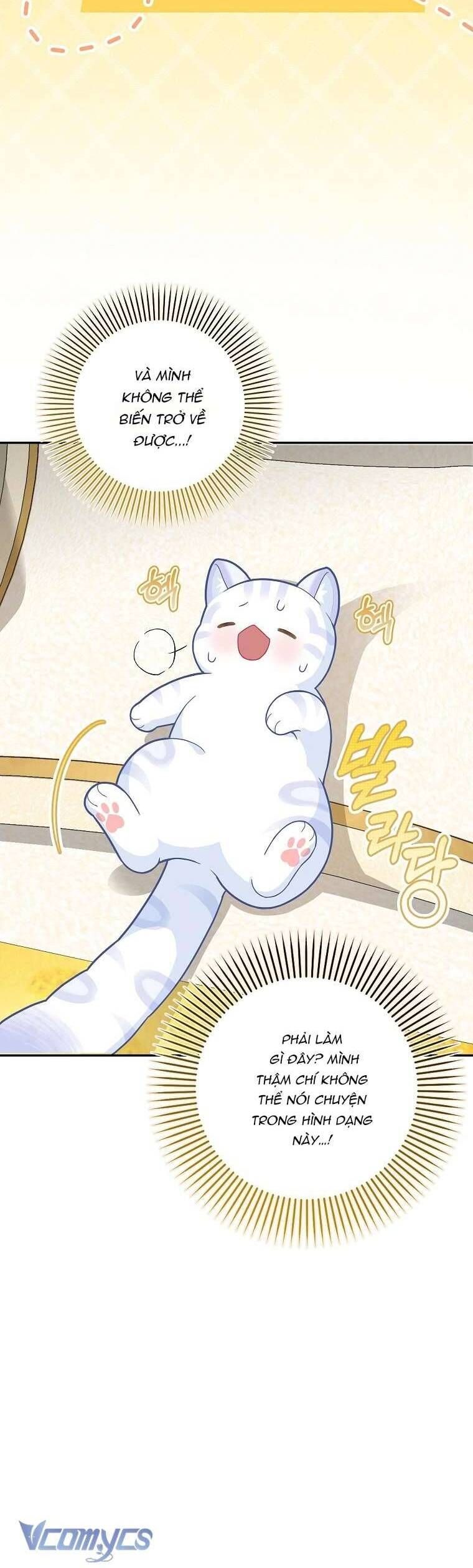 Bé Con Báo Tuyết Của Gia Tộc Báo Đen Chapter 21 - Trang 2