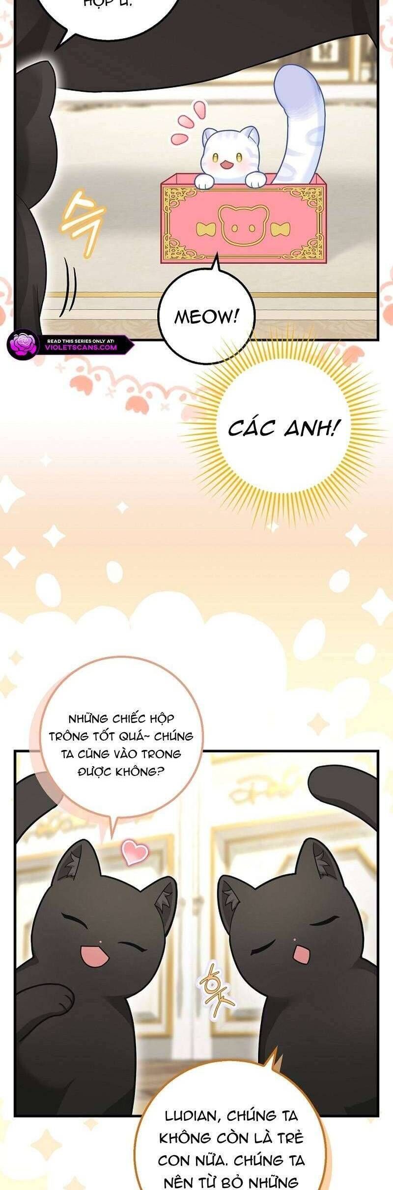 Bé Con Báo Tuyết Của Gia Tộc Báo Đen Chapter 26 - Trang 2