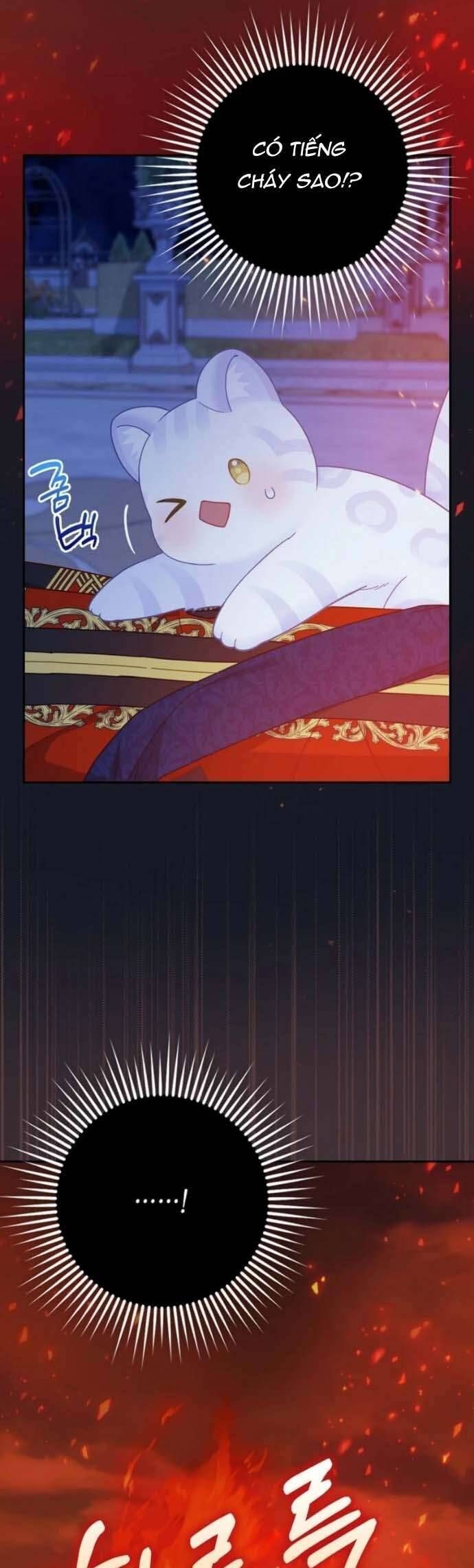 Bé Con Báo Tuyết Của Gia Tộc Báo Đen Chapter 41 - Trang 2