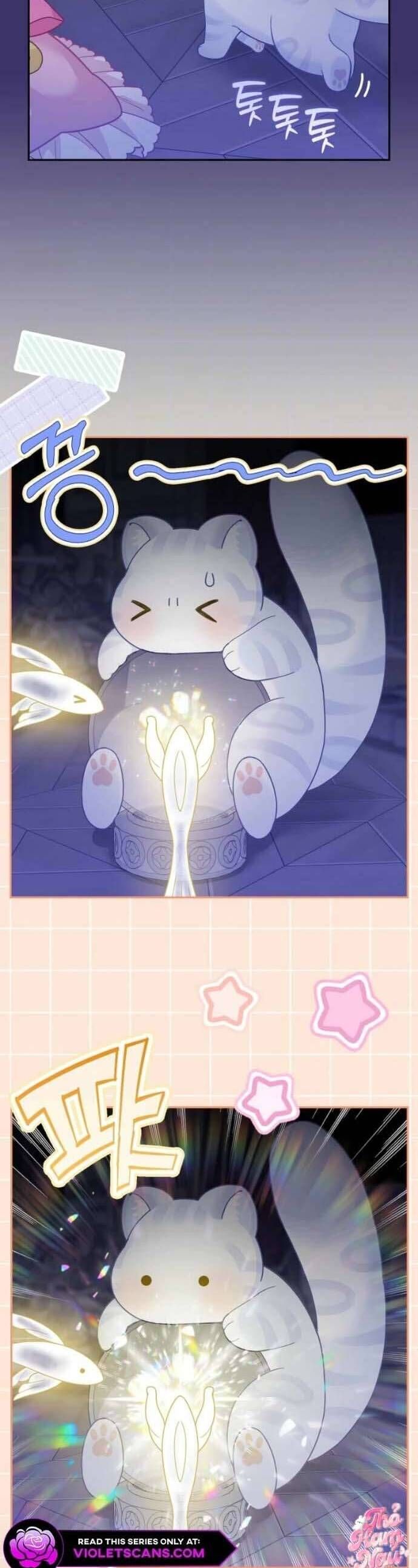 Bé Con Báo Tuyết Của Gia Tộc Báo Đen Chapter 41 - Trang 2