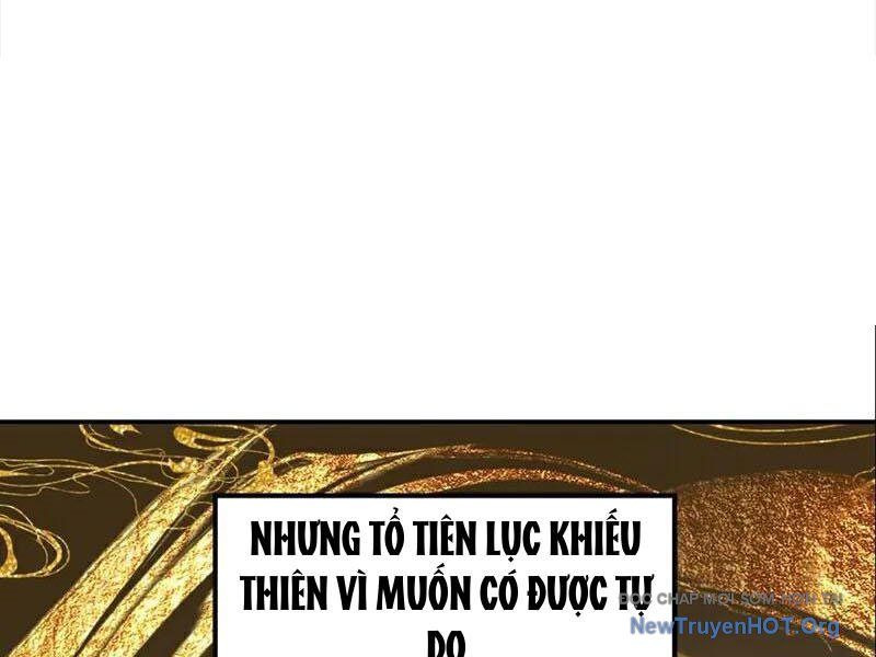 Ta, Hậu Duệ Thần Long Chapter 114 - Trang 2