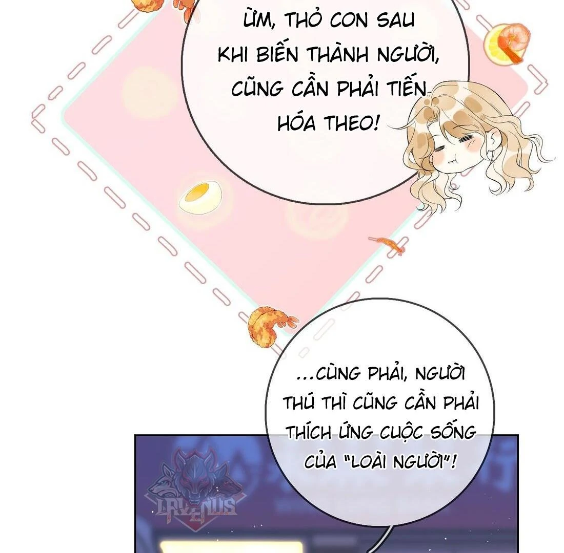 Sói Tiểu Thư Và Em Gái Hồ Ly Của Tôi Chapter 5 - Trang 2