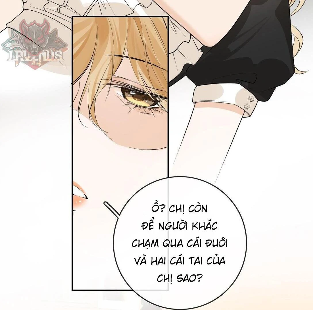 Sói Tiểu Thư Và Em Gái Hồ Ly Của Tôi Chapter 31 - Trang 2