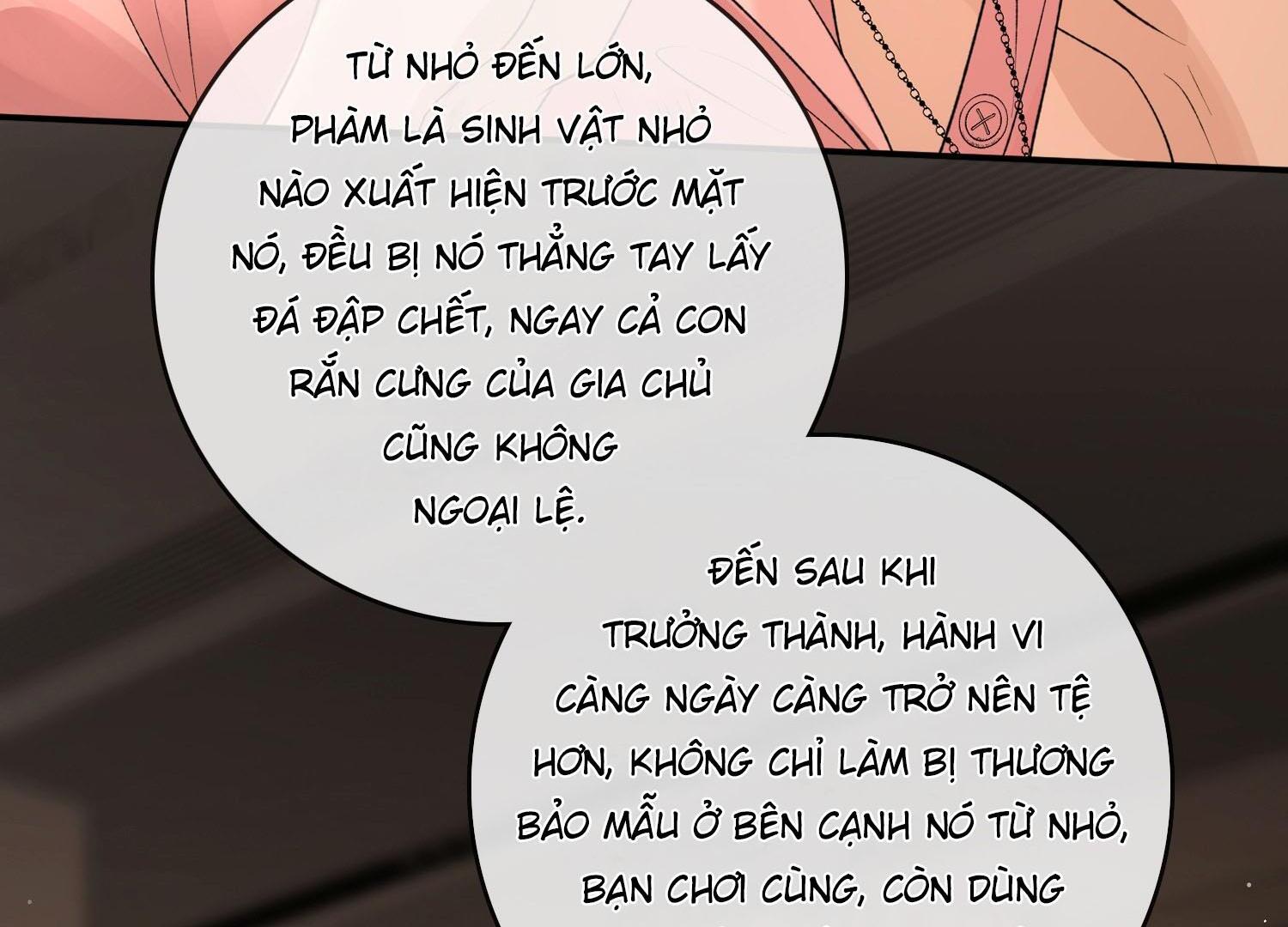 Sói Tiểu Thư Và Em Gái Hồ Ly Của Tôi Chapter 33 - Trang 2