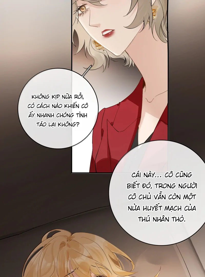 Sói Tiểu Thư Và Em Gái Hồ Ly Của Tôi Chapter 47 - Trang 2