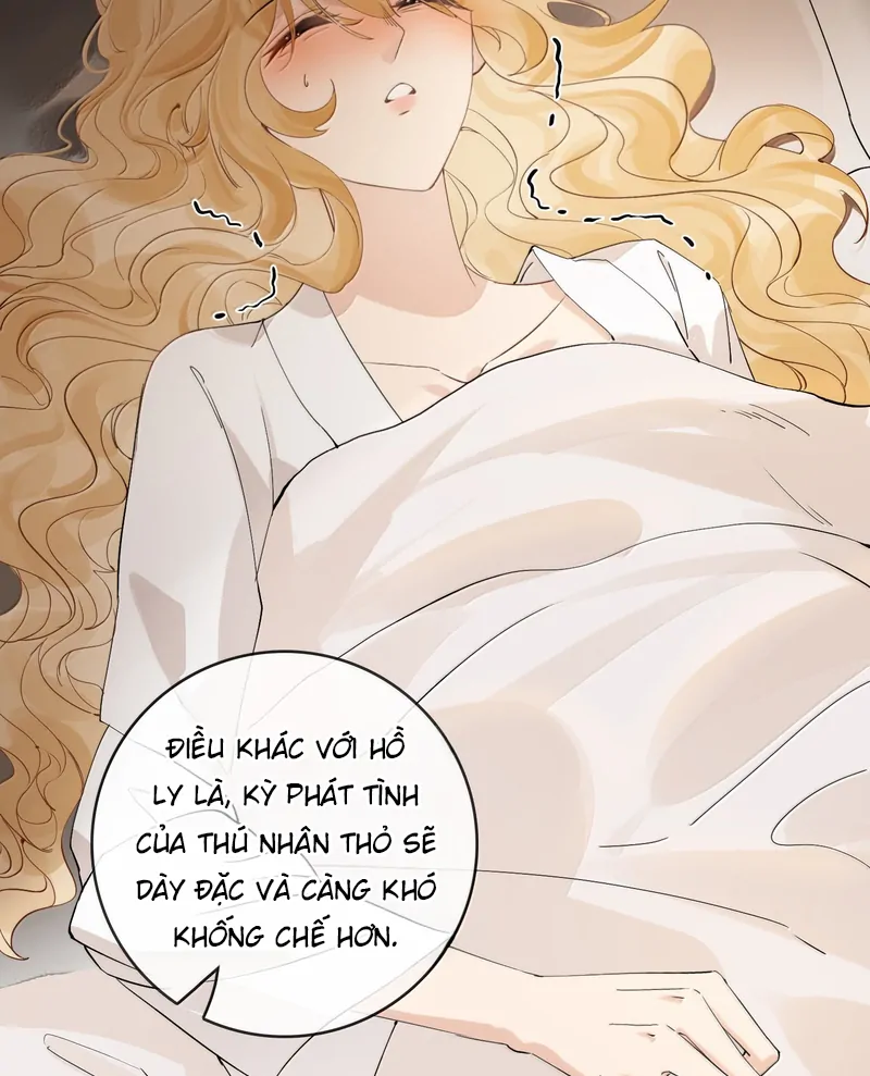 Sói Tiểu Thư Và Em Gái Hồ Ly Của Tôi Chapter 47 - Trang 2