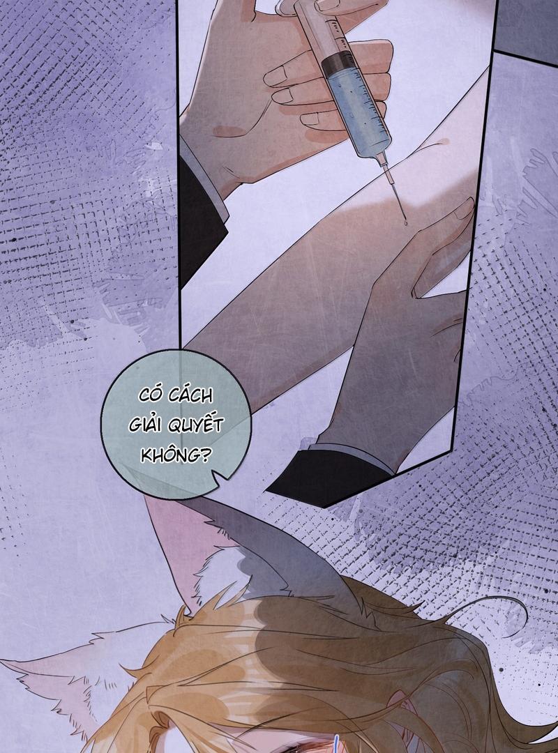 Sói Tiểu Thư Và Em Gái Hồ Ly Của Tôi Chapter 53 - Trang 2