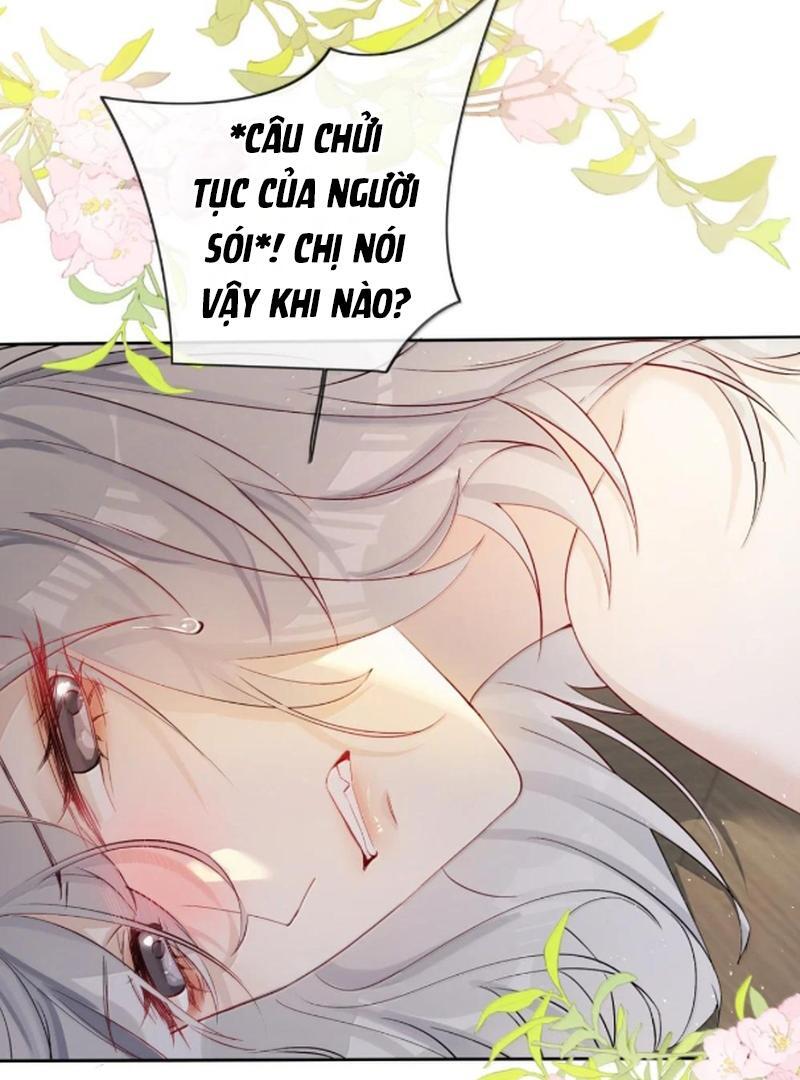 Sói Tiểu Thư Và Em Gái Hồ Ly Của Tôi Chapter 61 - Trang 2