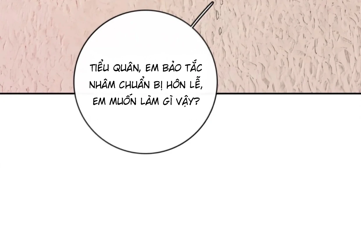 Sói Tiểu Thư Và Em Gái Hồ Ly Của Tôi Chapter 62 - Trang 2