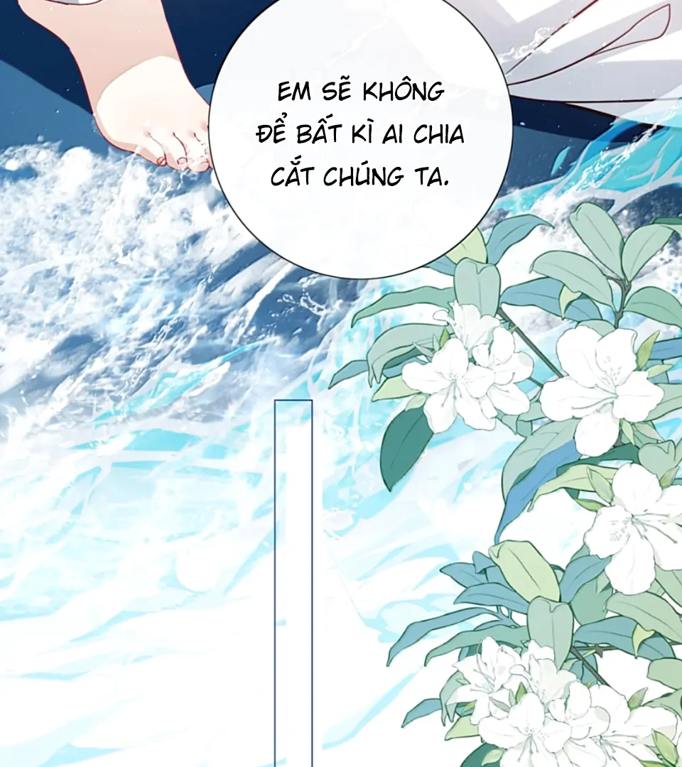 Sói Tiểu Thư Và Em Gái Hồ Ly Của Tôi Chapter 63 - Trang 2