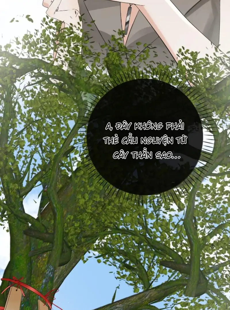 Sói Tiểu Thư Và Em Gái Hồ Ly Của Tôi Chapter 68 - Trang 2