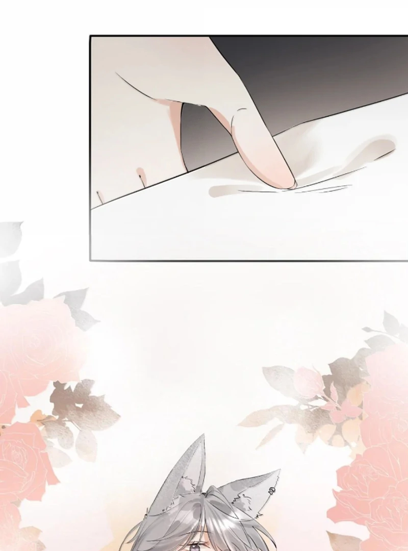 Sói Tiểu Thư Và Em Gái Hồ Ly Của Tôi Chapter 68 - Trang 2