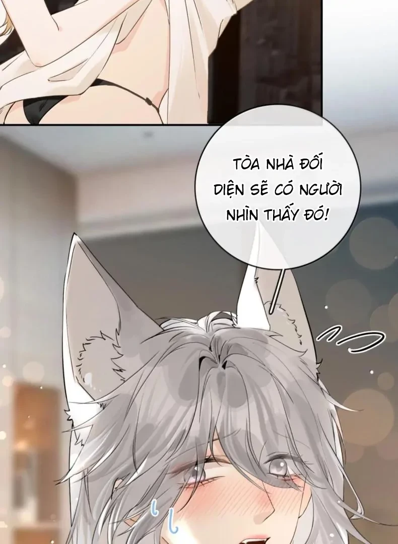 Sói Tiểu Thư Và Em Gái Hồ Ly Của Tôi Chapter 70.5 - Trang 2