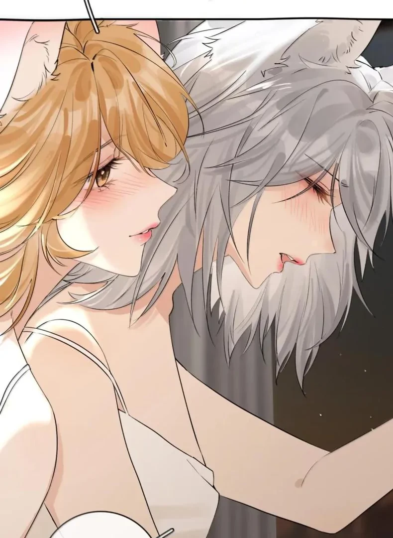 Sói Tiểu Thư Và Em Gái Hồ Ly Của Tôi Chapter 70.5 - Trang 2