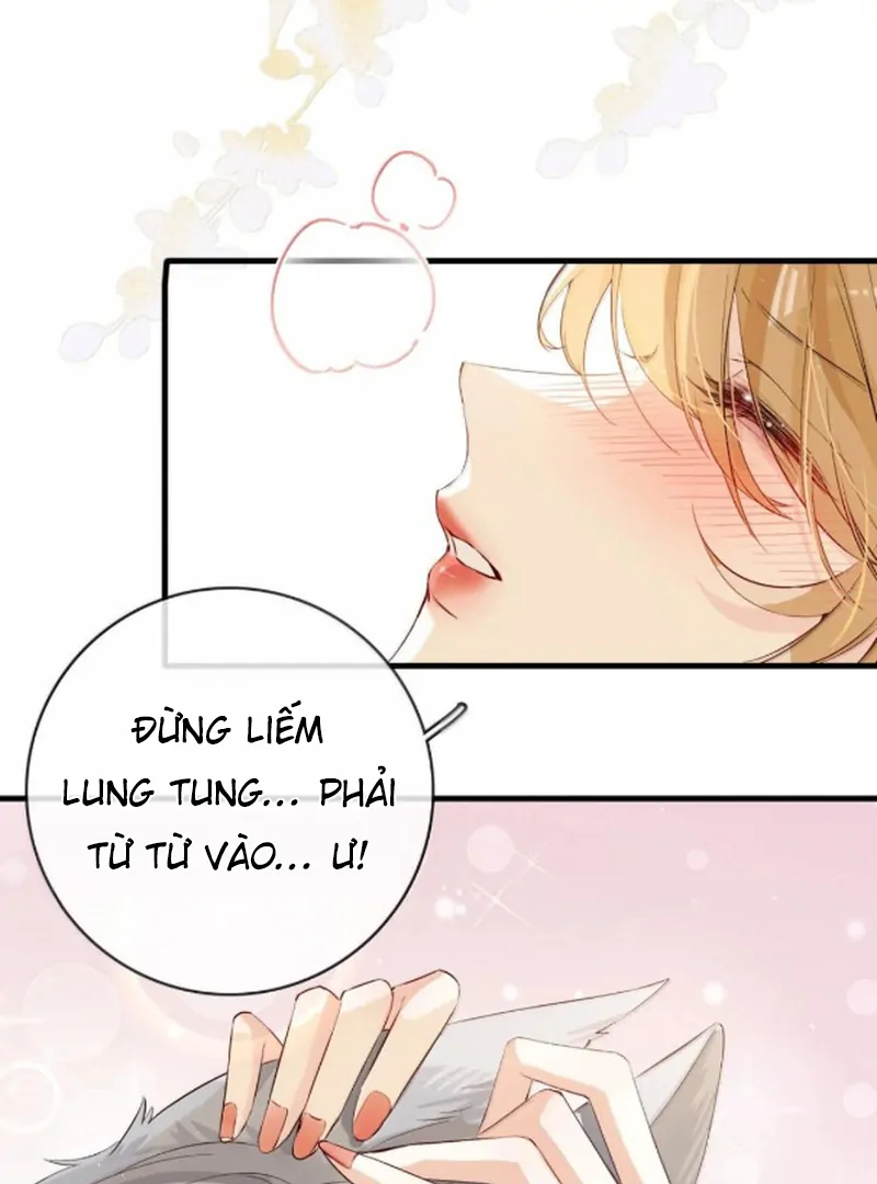 Sói Tiểu Thư Và Em Gái Hồ Ly Của Tôi Chapter 70.6 - Trang 2
