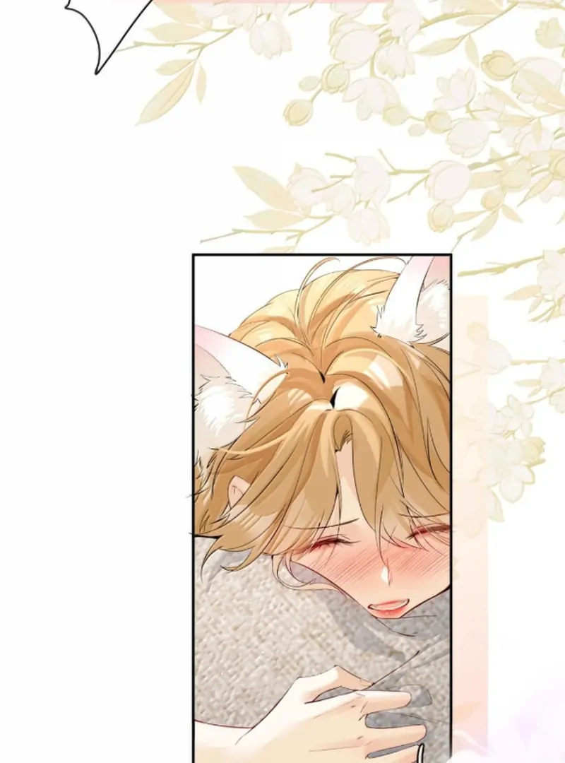 Sói Tiểu Thư Và Em Gái Hồ Ly Của Tôi Chapter 70.6 - Trang 2
