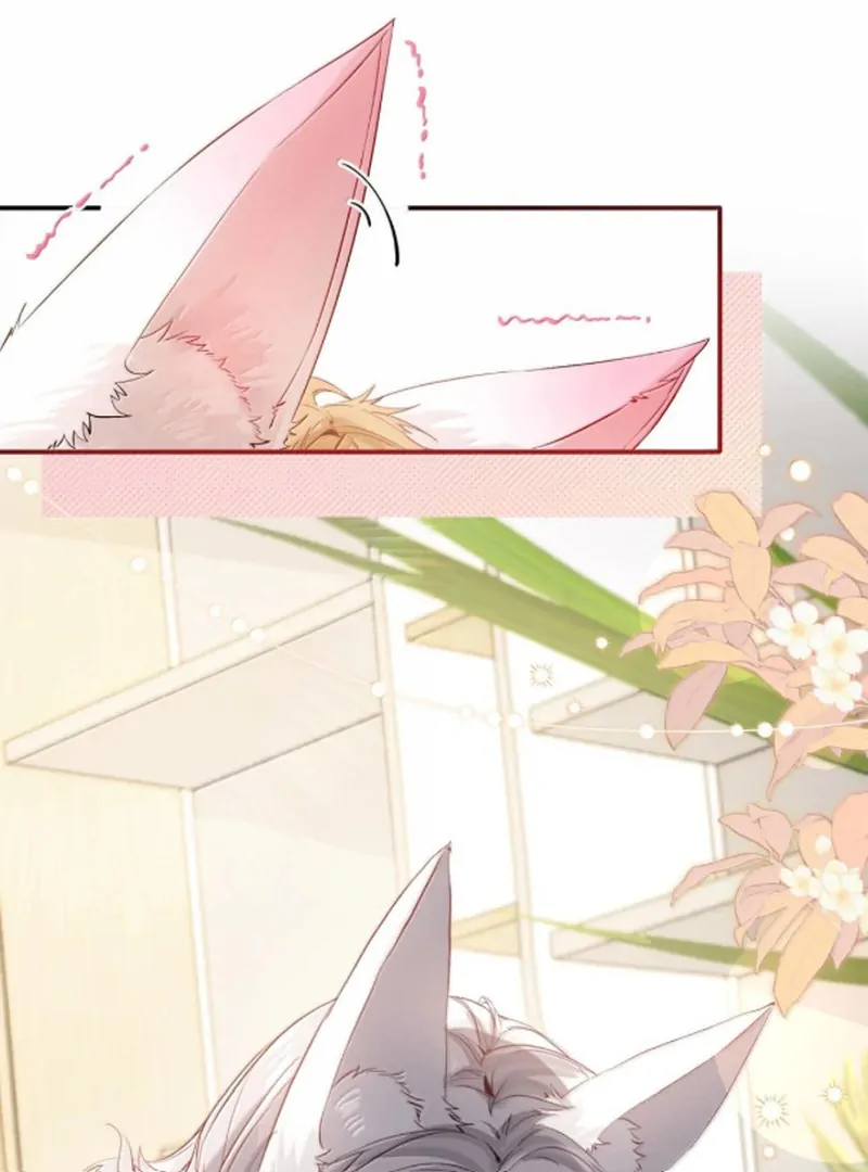Sói Tiểu Thư Và Em Gái Hồ Ly Của Tôi Chapter 70.7 - Trang 2