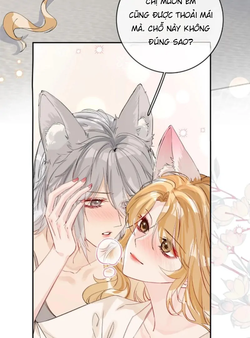 Sói Tiểu Thư Và Em Gái Hồ Ly Của Tôi Chapter 70.7 - Trang 2