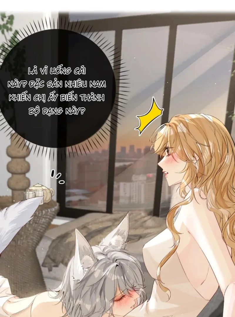 Sói Tiểu Thư Và Em Gái Hồ Ly Của Tôi Chapter 71 - Trang 2