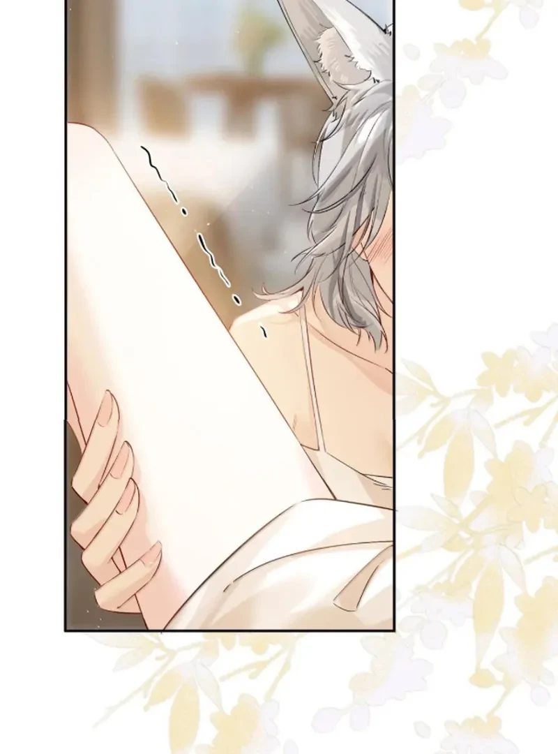 Sói Tiểu Thư Và Em Gái Hồ Ly Của Tôi Chapter 71 - Trang 2