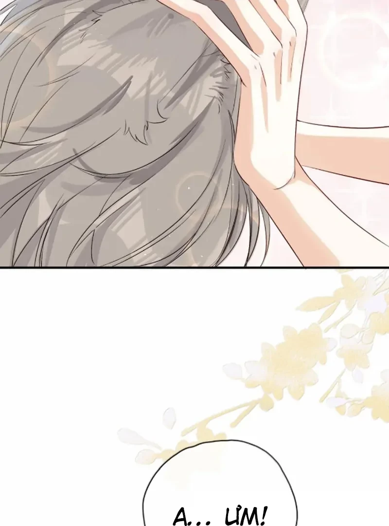 Sói Tiểu Thư Và Em Gái Hồ Ly Của Tôi Chapter 71 - Trang 2