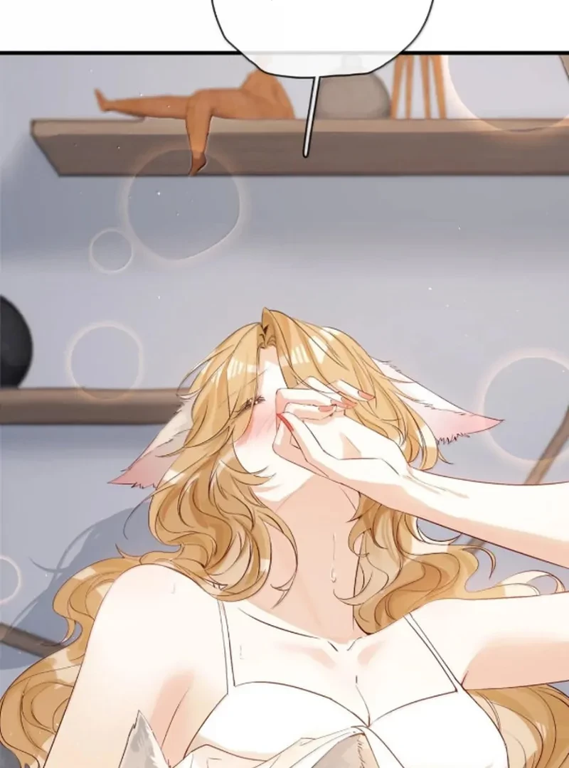 Sói Tiểu Thư Và Em Gái Hồ Ly Của Tôi Chapter 71 - Trang 2