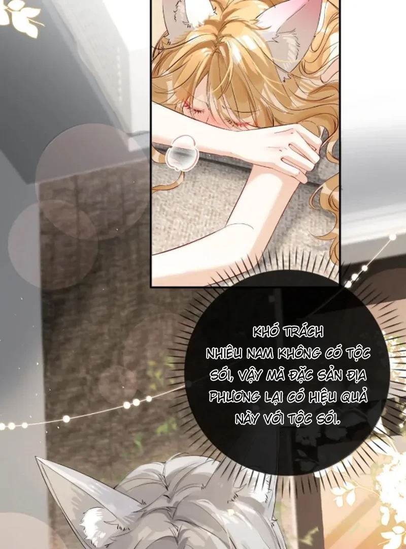 Sói Tiểu Thư Và Em Gái Hồ Ly Của Tôi Chapter 71 - Trang 2