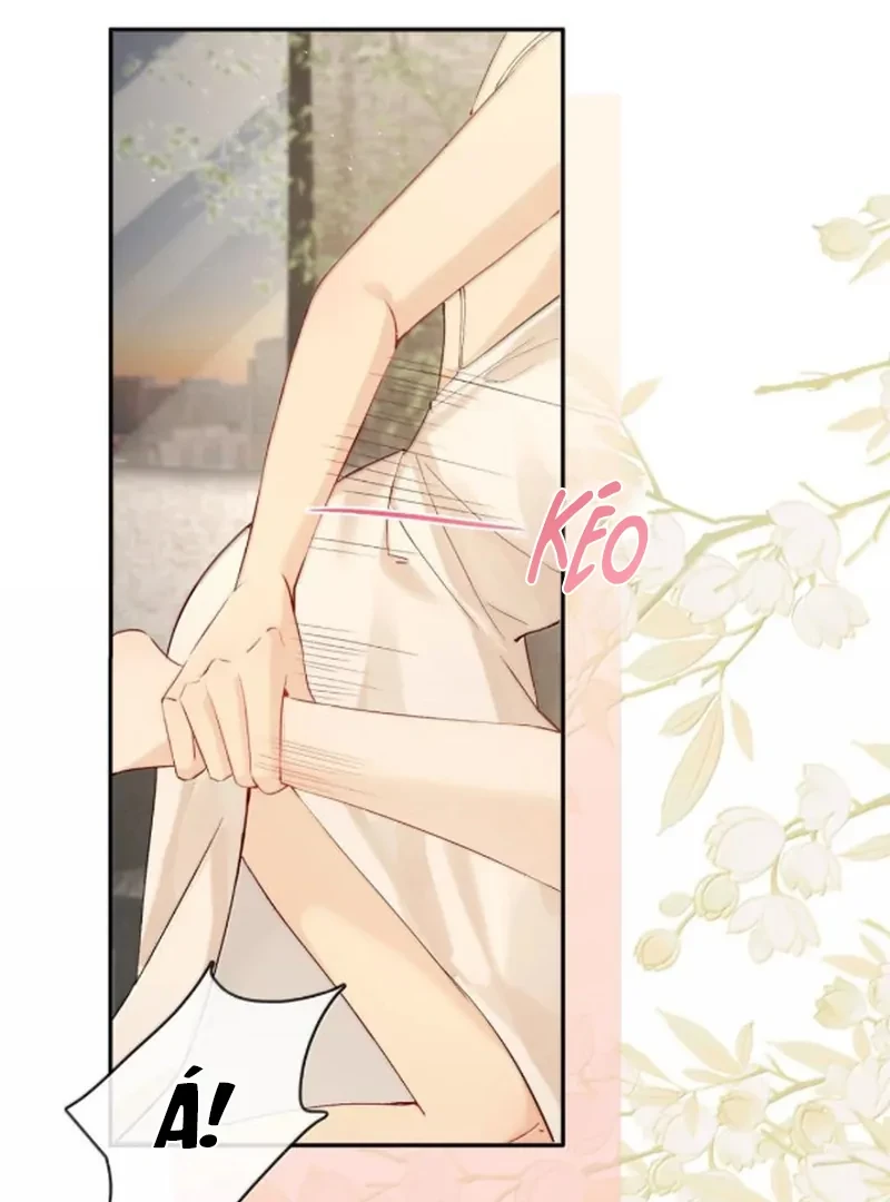 Sói Tiểu Thư Và Em Gái Hồ Ly Của Tôi Chapter 71 - Trang 2