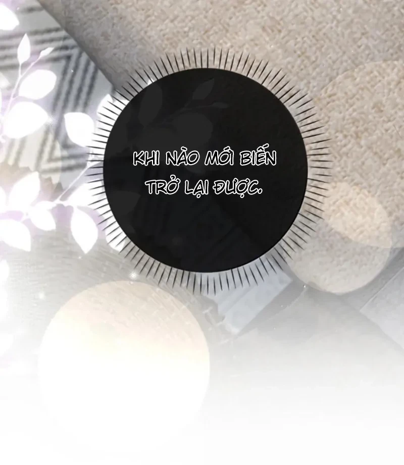 Sói Tiểu Thư Và Em Gái Hồ Ly Của Tôi Chapter 71 - Trang 2