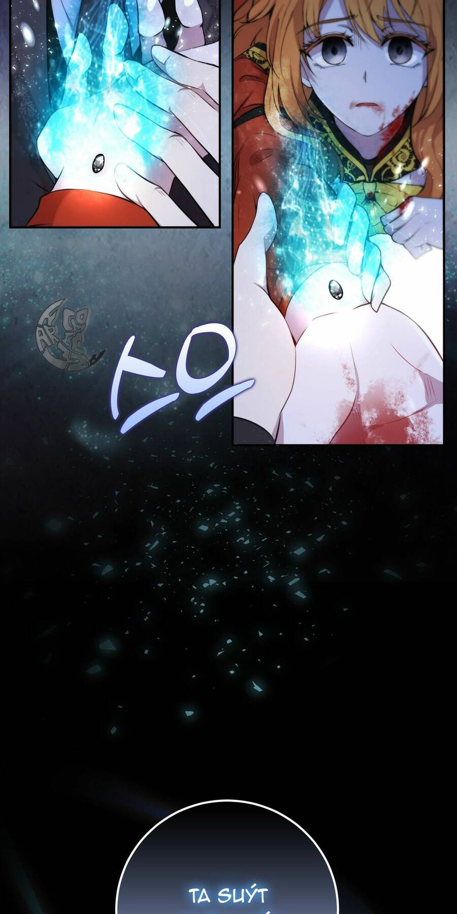 Sóc Con Tài Năng Chapter 2 - Trang 2