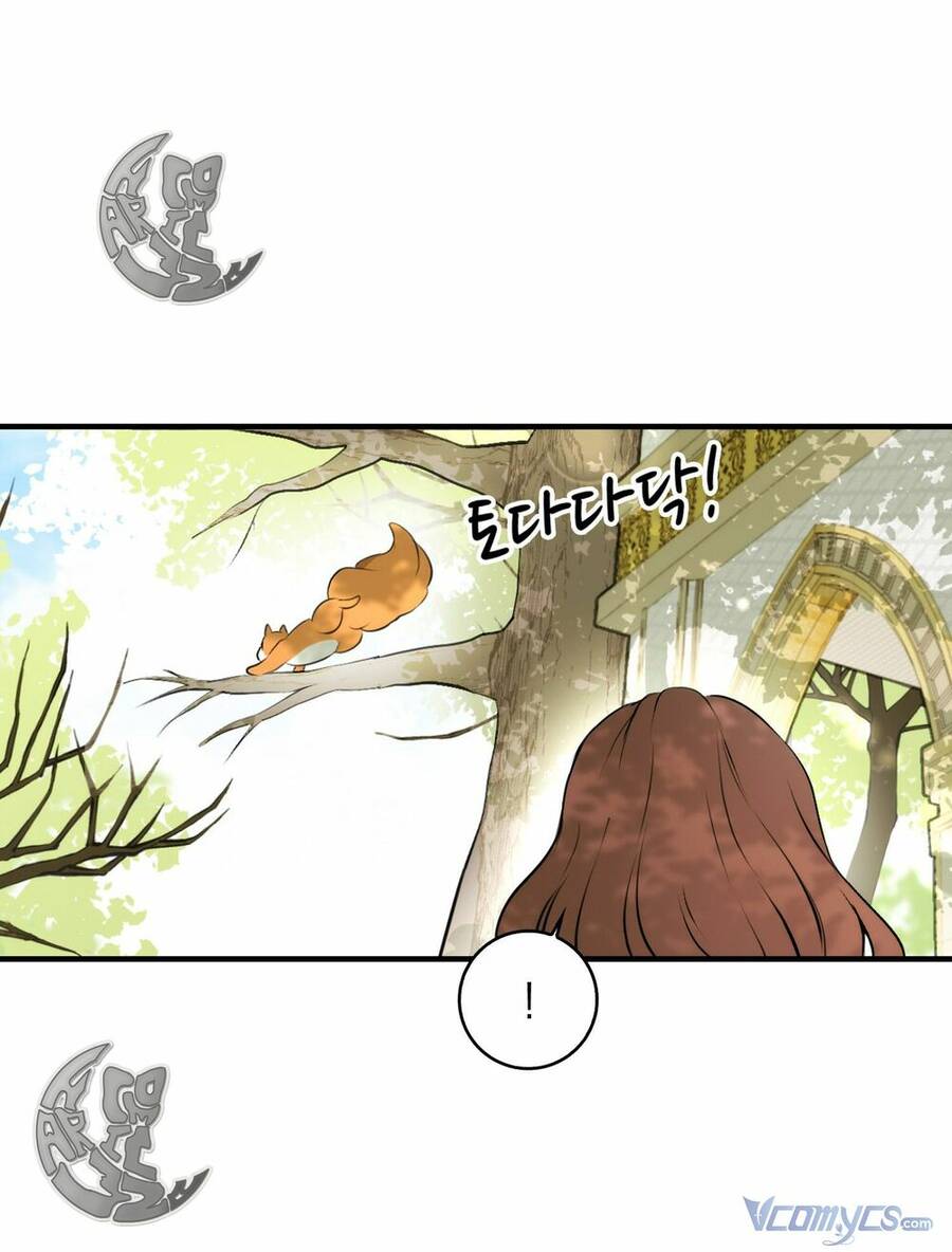 Sóc Con Tài Năng Chapter 2 - Trang 2