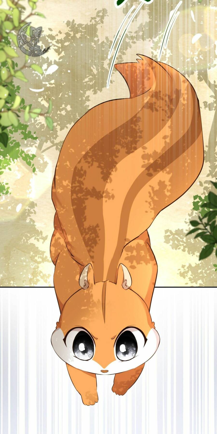 Sóc Con Tài Năng Chapter 2 - Trang 2