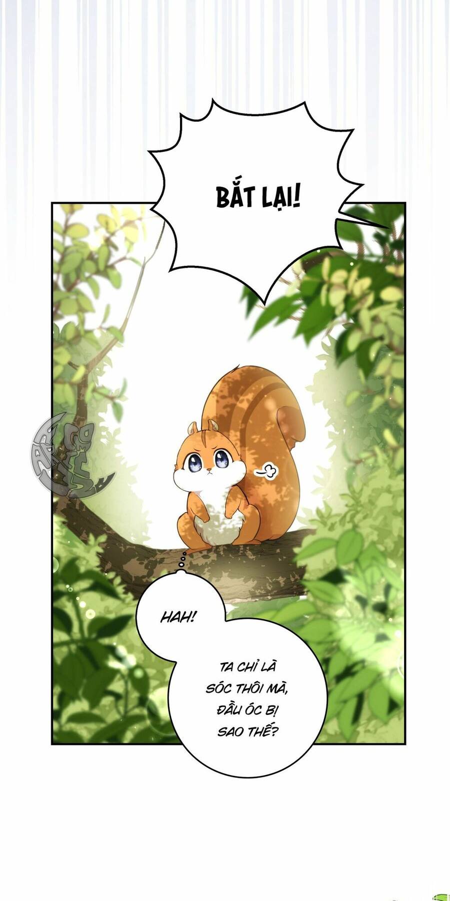 Sóc Con Tài Năng Chapter 2 - Trang 2