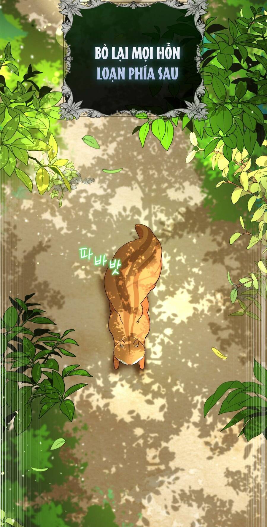 Sóc Con Tài Năng Chapter 2 - Trang 2