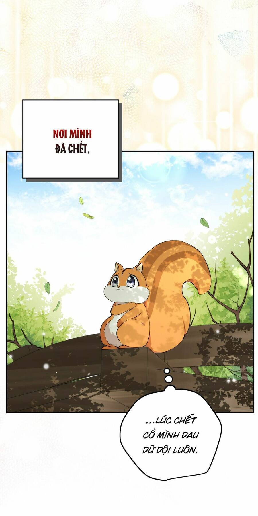 Sóc Con Tài Năng Chapter 2 - Trang 2