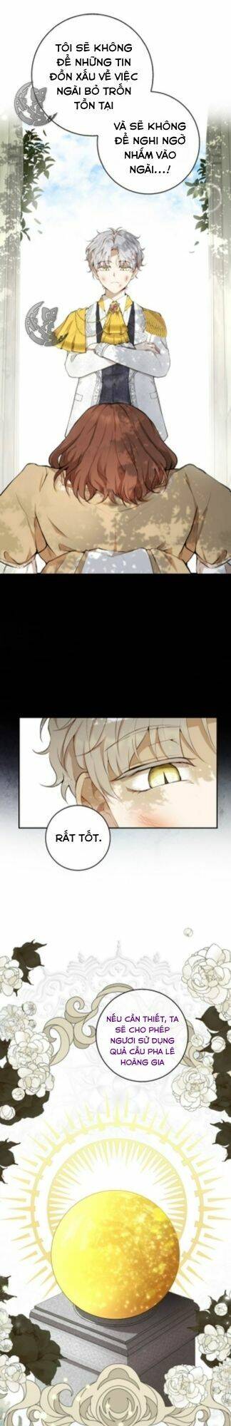 Sóc Con Tài Năng Chapter 3 - Trang 2