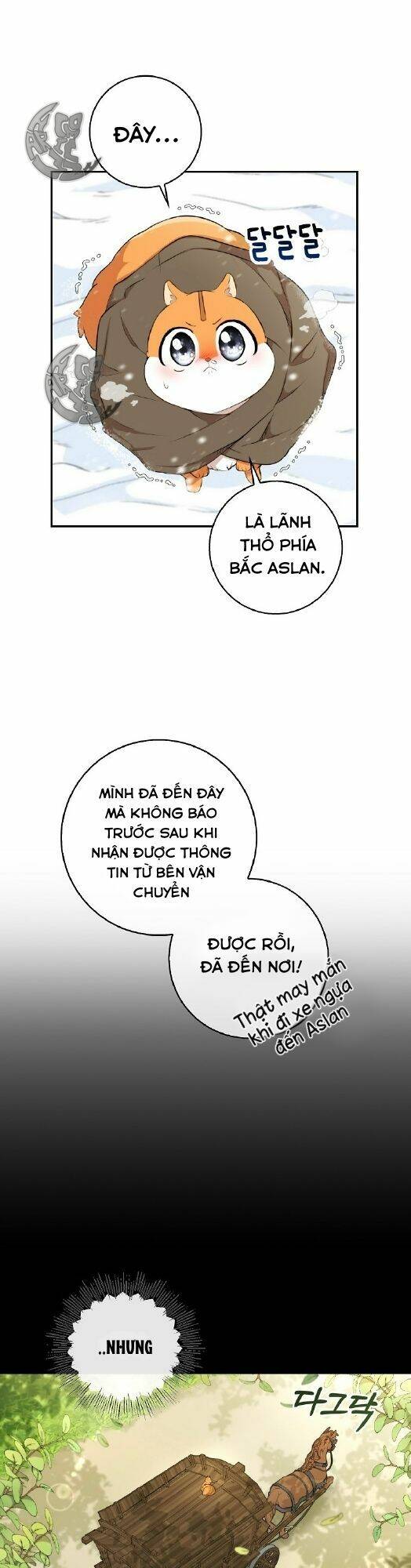 Sóc Con Tài Năng Chapter 3 - Trang 2