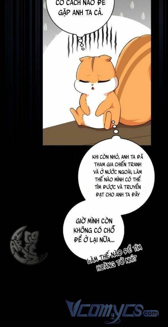 Sóc Con Tài Năng Chapter 3 - Trang 2