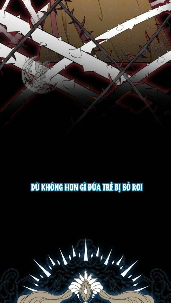 Sóc Con Tài Năng Chapter 3 - Trang 2