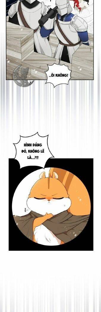 Sóc Con Tài Năng Chapter 3 - Trang 2