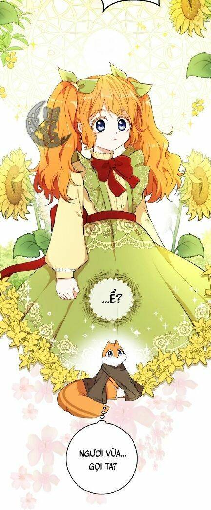 Sóc Con Tài Năng Chapter 3 - Trang 2