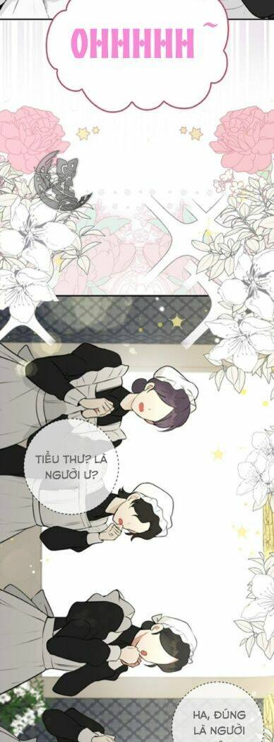 Sóc Con Tài Năng Chapter 3 - Trang 2